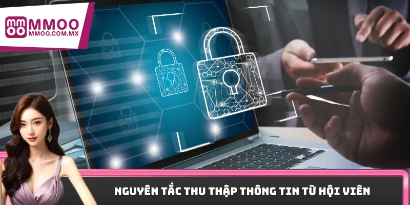 Nguyên tắc thu thập thông tin từ hội viên